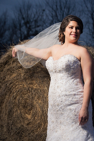 02_03_17 Jasmine Bourlon Bridals-208