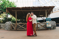4-5-25_VIANEY AND FREDDY ENGAGEMENTS-65