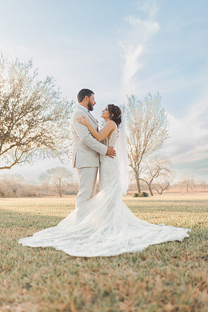 3-1-25_Allison and Nick Wedding-343