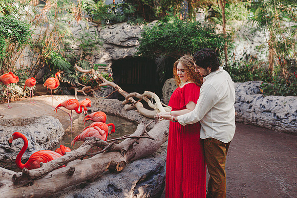 4-5-25_VIANEY AND FREDDY ENGAGEMENTS-404